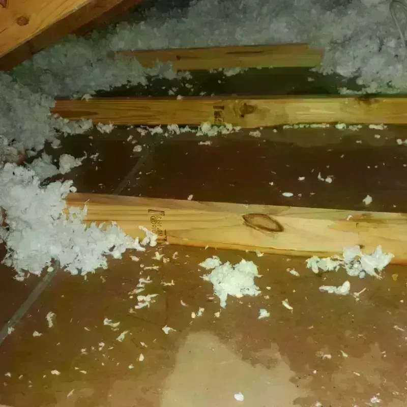 Attic Water Damage in Renville County, MN